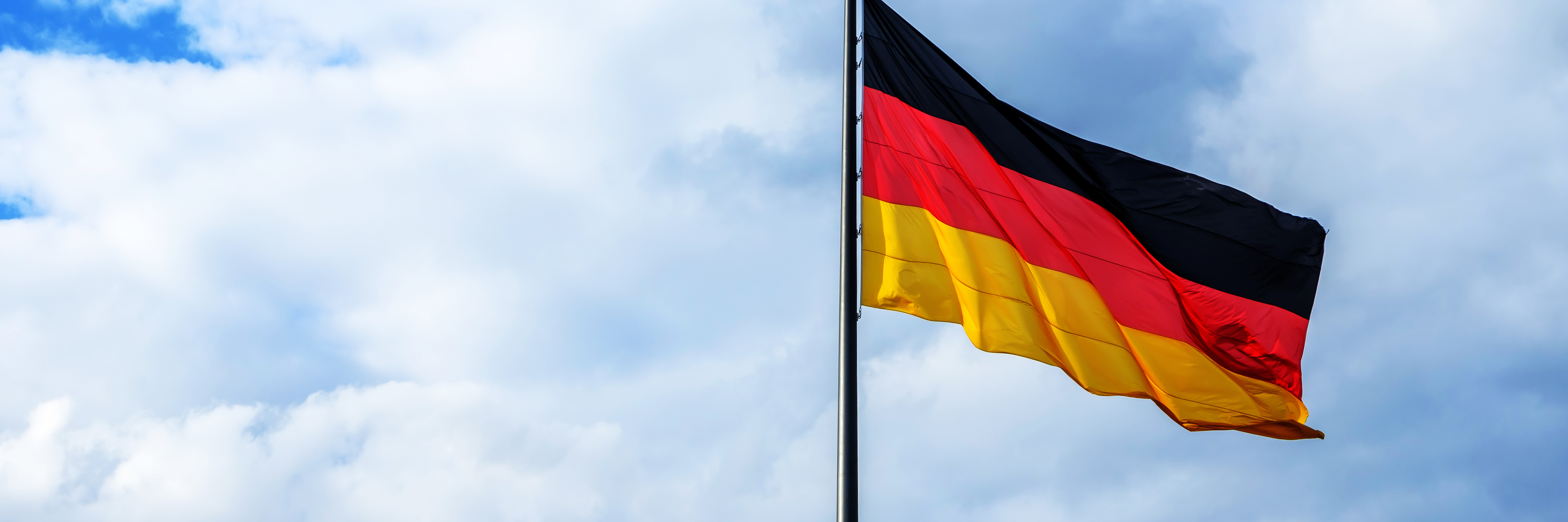 The German flag