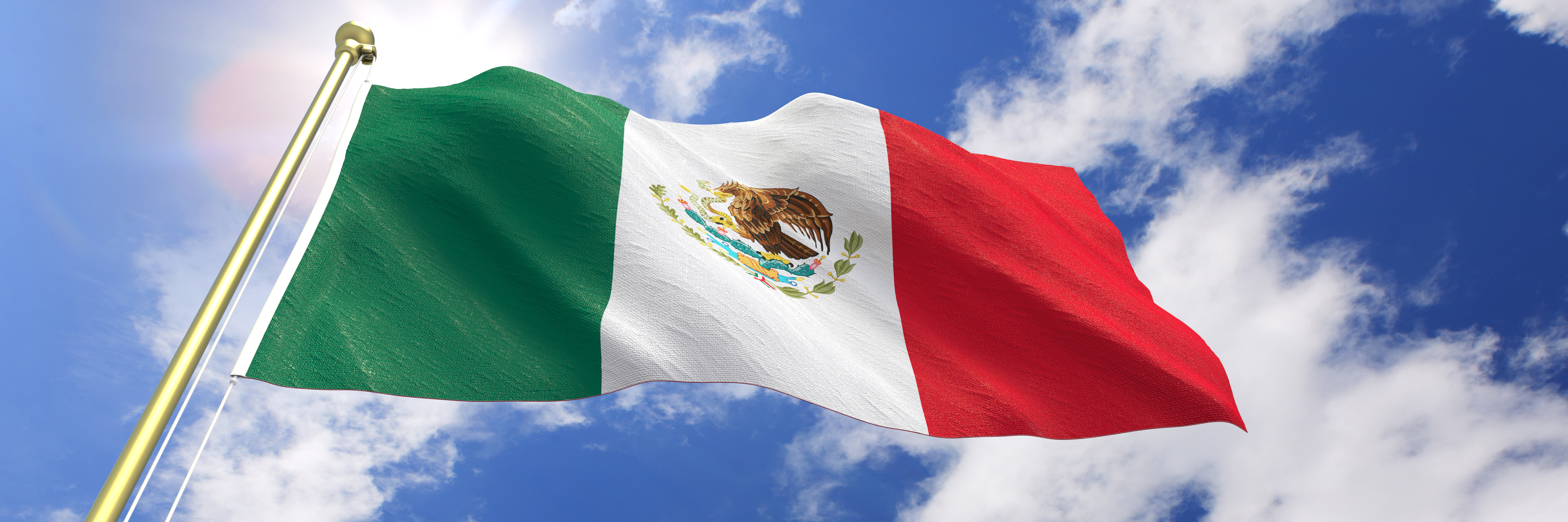 Mexico flag